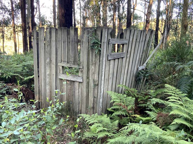 Toolangi Sculpture Trail (Toolangi)