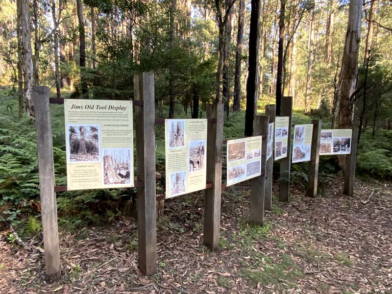 Toolangi Sculpture Trail (Toolangi)