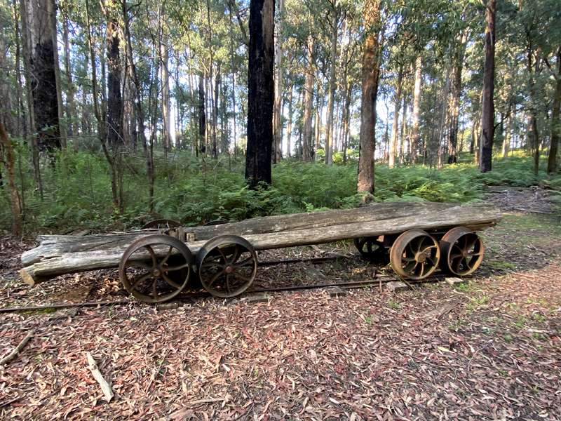 Toolangi Sculpture Trail (Toolangi)