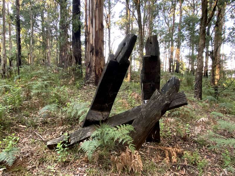 Toolangi Sculpture Trail (Toolangi)