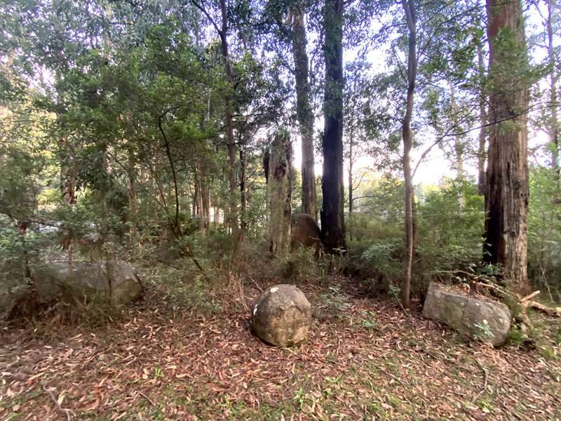Toolangi Sculpture Trail (Toolangi)