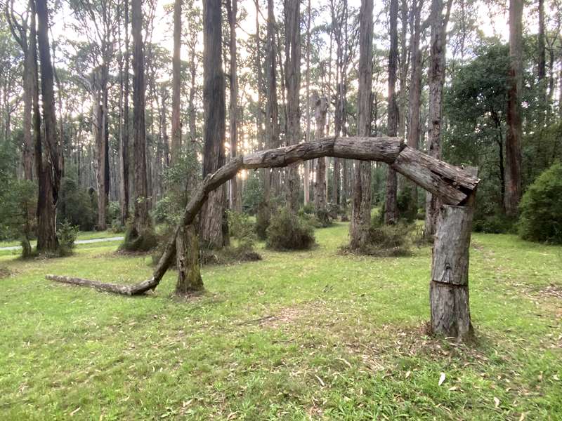 Toolangi Sculpture Trail (Toolangi)
