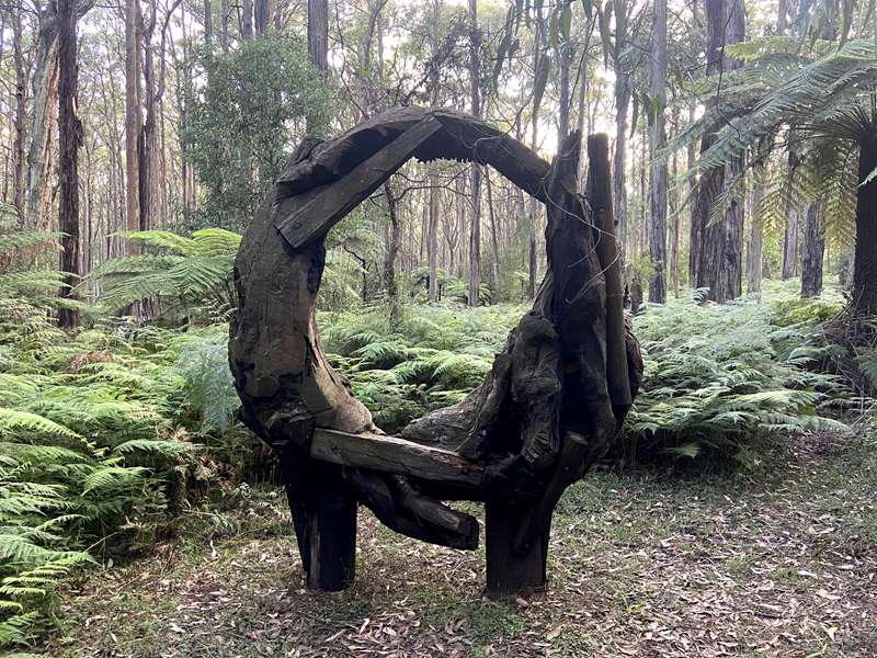 Toolangi Sculpture Trail (Toolangi)