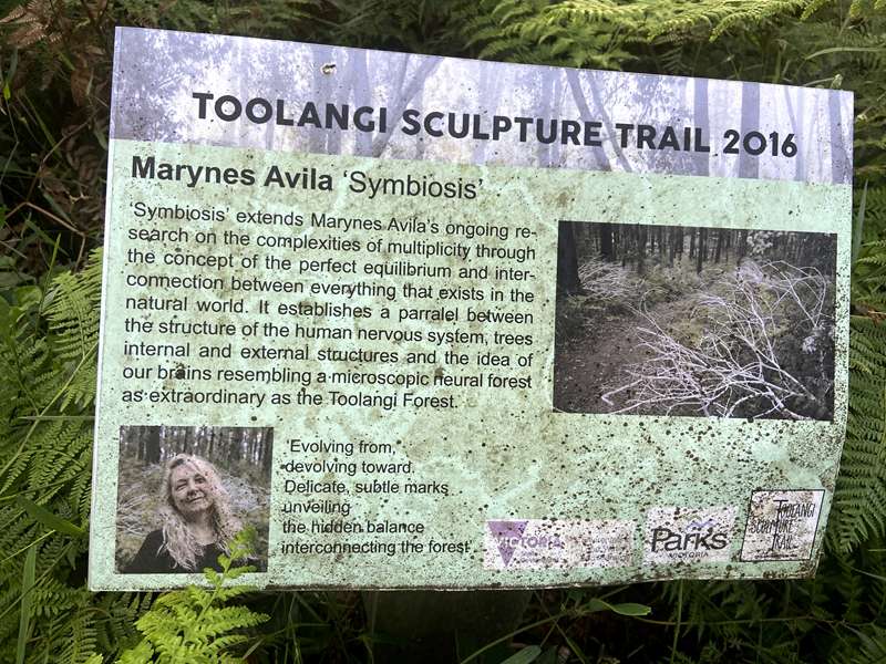 Toolangi Sculpture Trail (Toolangi)
