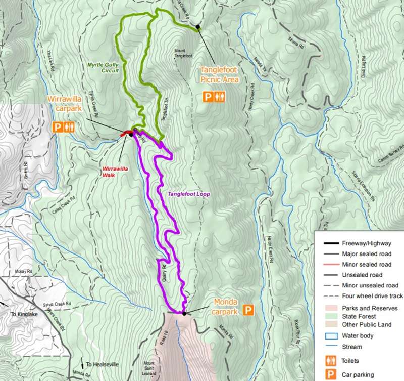 Toolangi State Forest Walks Map