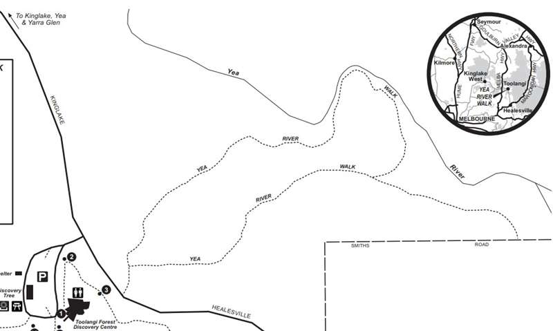 Toolangi - Yea River Walk Map