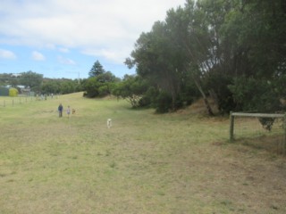 Tootgarook Recreational Reserve Fenced Dog Park (Tootgarook)