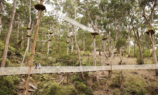 High Ropes Courses in Melbourne and Victoria