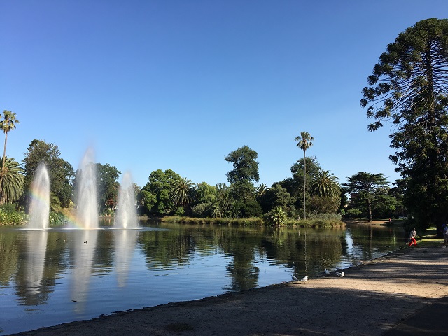 The Best Picnic Spots in Melbourne