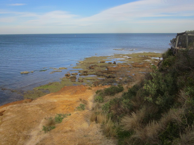 The Best Family Walks in Melbourne