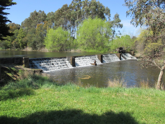 The Best Family Walks in Melbourne