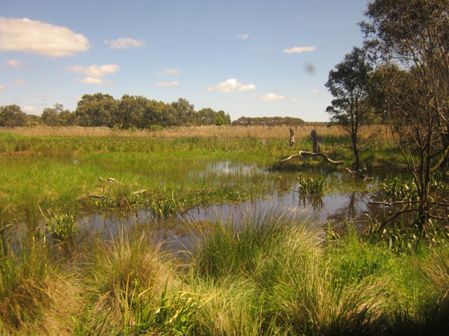 The Best Family Walks in Melbourne