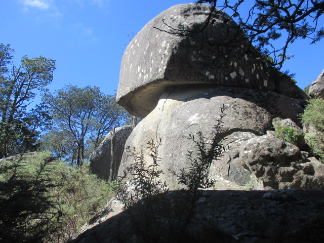 The Best Family Walks in Melbourne