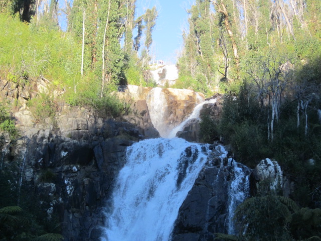 The Best Family Walks in Melbourne