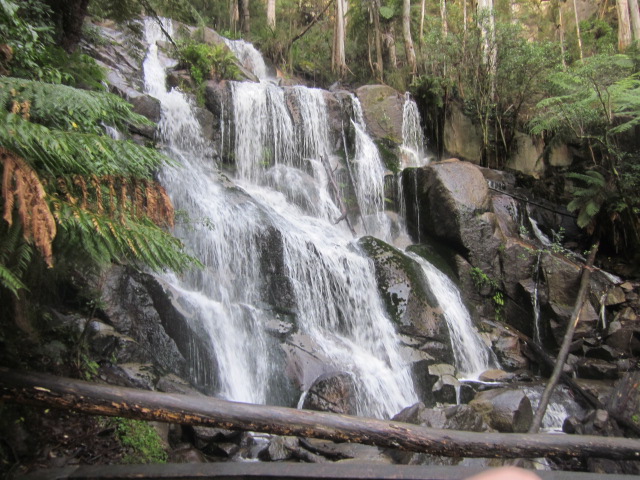 The Best Family Walks in Melbourne