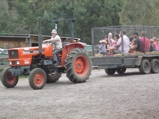 Collingwood Childrens Farm