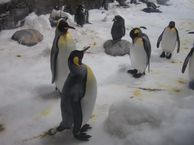 Melbourne Aquarium