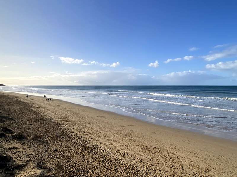 Torquay - Whites Beach
