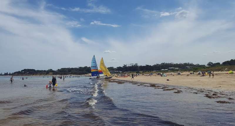 Torquay Beaches