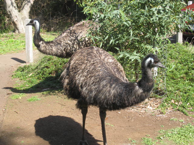 Tower Hill Reserve