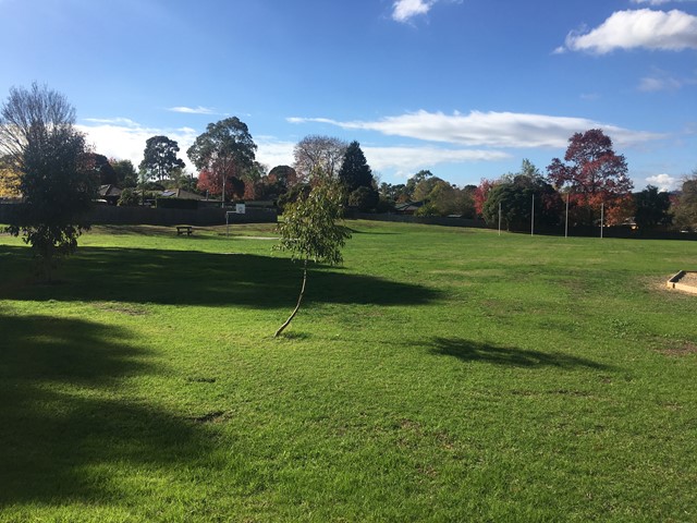 Towerhill Drive Reserve Dog Off Leash Area (Ringwood)