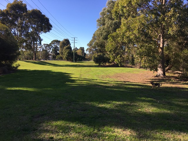 Town Park Dog Off Leash Area (Croydon)