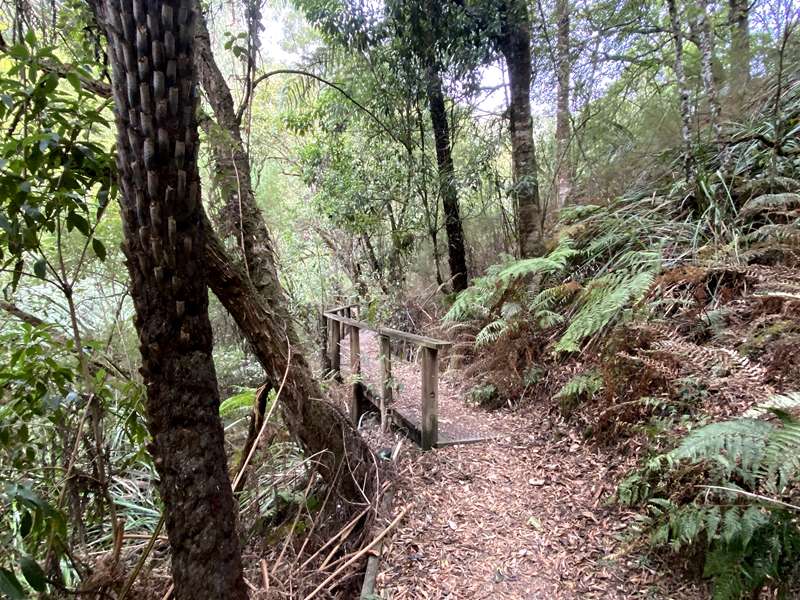 Trafalgar South - Uralla Nature Reserve