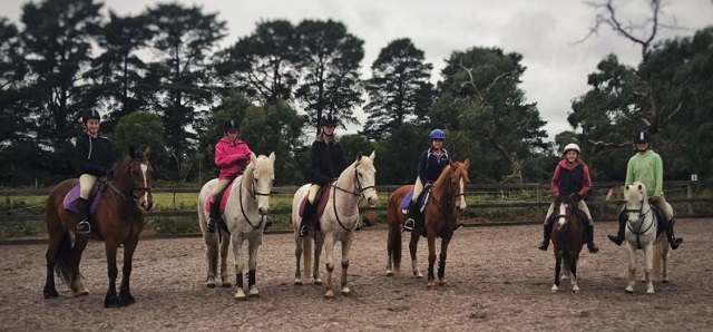 Tranquil Park Stables (Cranbourne South)