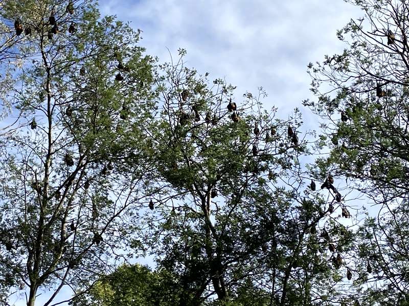 Traralgon - Victory Park