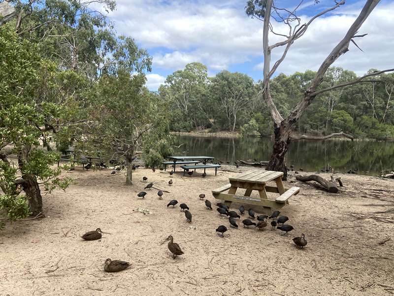 Traralgon Railway Reservoir Conservation Reserve