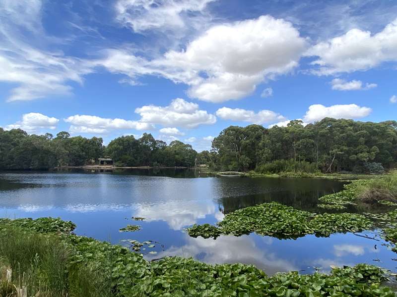 Traralgon Railway Reservoir Conservation Reserve