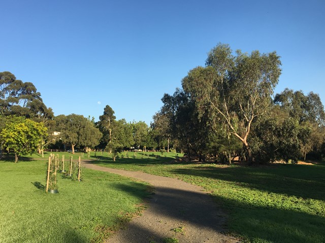 Travancore Park Dog Off Leash Area (Flemington)