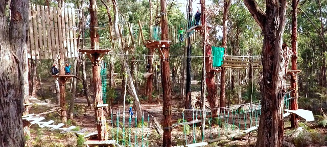 High Ropes Courses in Melbourne and Victoria