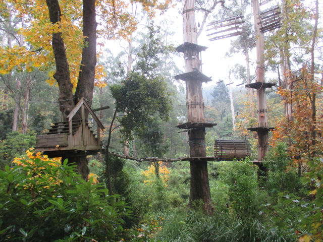 Treetops Adventure (Belgrave)