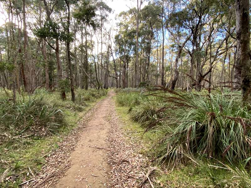 Trentham - Wombat Trail