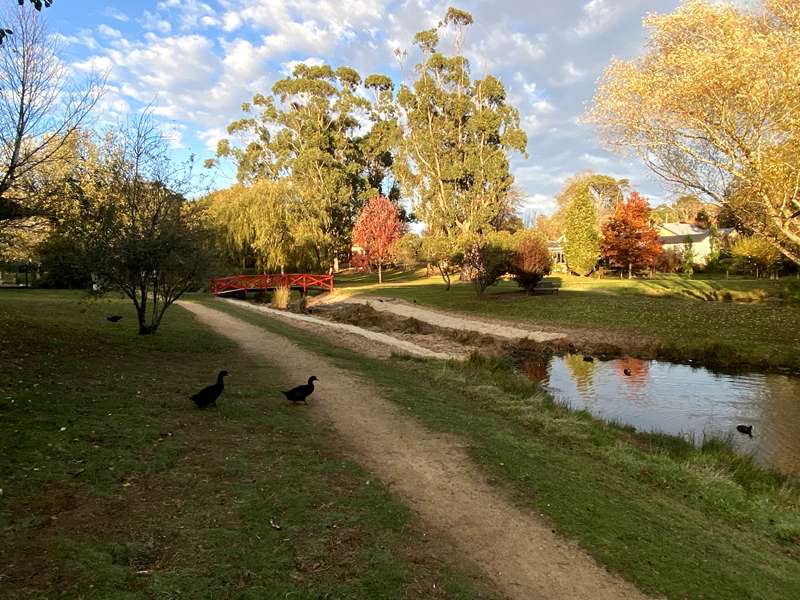 Trentham - Wombat Trail
