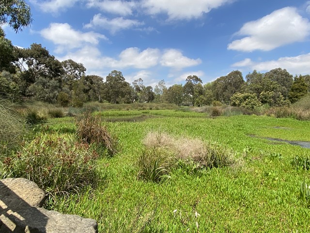 Trin Warren Tam-boore (Parkville)