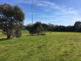 Truemans Road Reserve Dog Off Leash Area (Rosebud West)