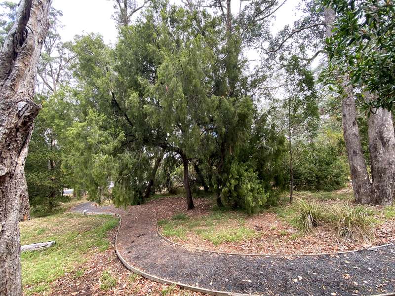 Tyers - Jean Galbraith Reserve