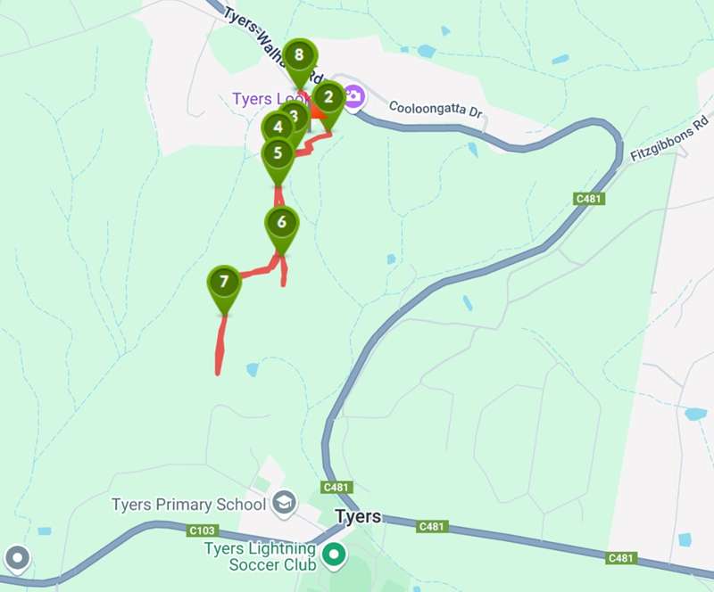 Tyers Walking Track