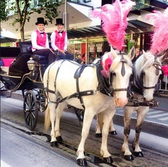 Unique Carriage Hire (Melbourne)