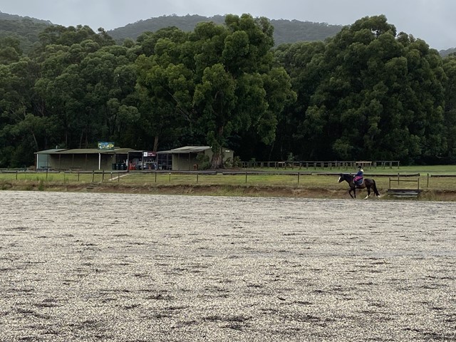 Upper Yarra Pony Club (Wesburn)