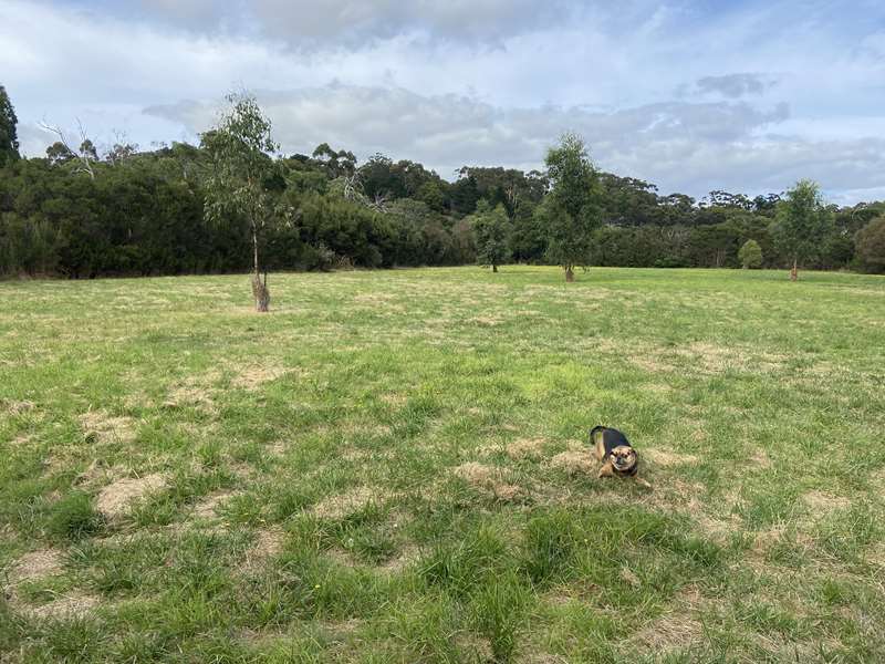 Uralla Reserve Dog Off Leash Area (Mount Martha)