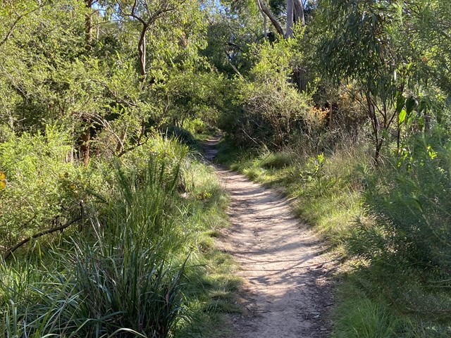 Valley Reserve (Mount Waverley)