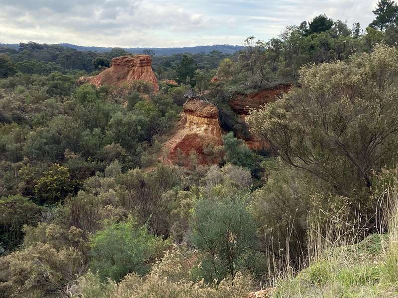 Vaughan - Red Knob Gold Mining Landscape