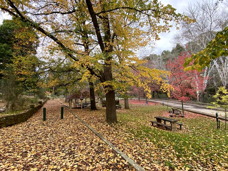 Vaughan Mineral Springs