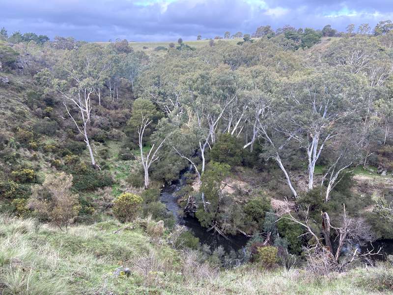 Vaughan Springs to Central & Glenluce Springs Walk