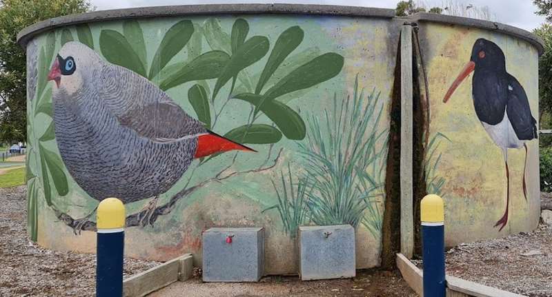 Venus Bay Water Tank Art