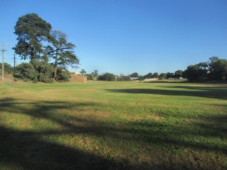 Victoria Park Dog Off Leash Area (Frankston)