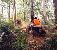 Leonards Hill - Victorian Quad Bike Tours